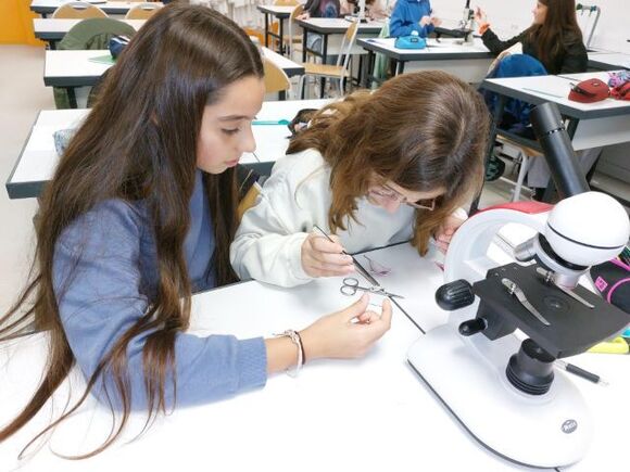 SVT6_microscope2024